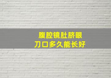 腹腔镜肚脐眼刀口多久能长好