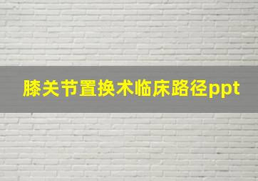 膝关节置换术临床路径ppt