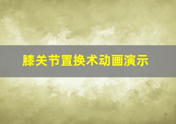 膝关节置换术动画演示