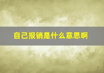 自己报销是什么意思啊