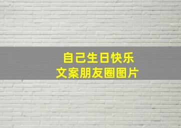 自己生日快乐文案朋友圈图片