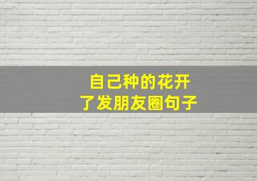 自己种的花开了发朋友圈句子