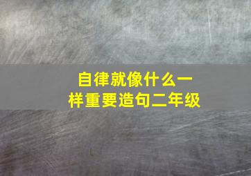 自律就像什么一样重要造句二年级