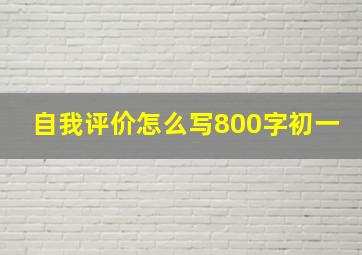 自我评价怎么写800字初一