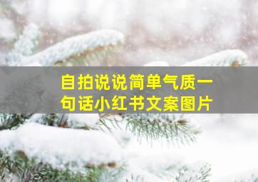 自拍说说简单气质一句话小红书文案图片