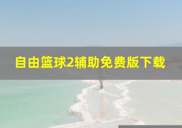 自由篮球2辅助免费版下载