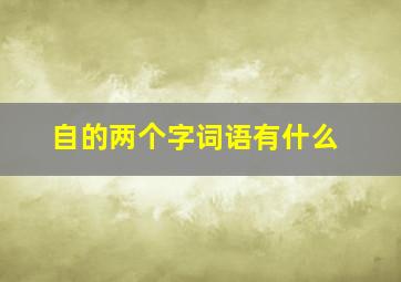 自的两个字词语有什么