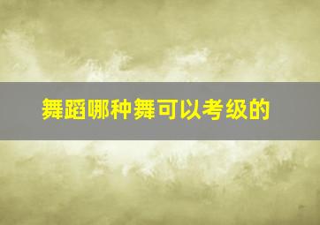 舞蹈哪种舞可以考级的