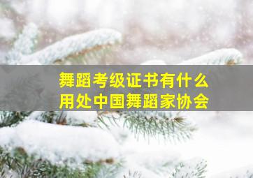 舞蹈考级证书有什么用处中国舞蹈家协会