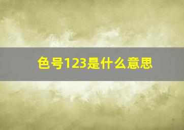 色号123是什么意思