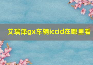 艾瑞泽gx车辆iccid在哪里看