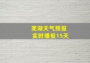 芜湖天气预报实时播报15天