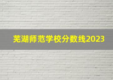 芜湖师范学校分数线2023