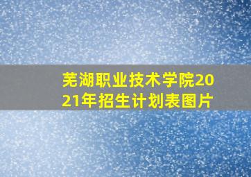 芜湖职业技术学院2021年招生计划表图片