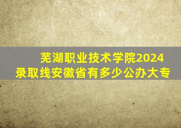 芜湖职业技术学院2024录取线安徽省有多少公办大专