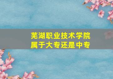 芜湖职业技术学院属于大专还是中专