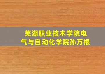 芜湖职业技术学院电气与自动化学院孙万根