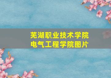 芜湖职业技术学院电气工程学院图片