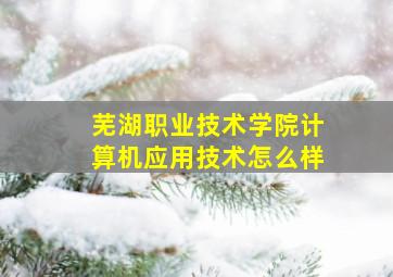 芜湖职业技术学院计算机应用技术怎么样