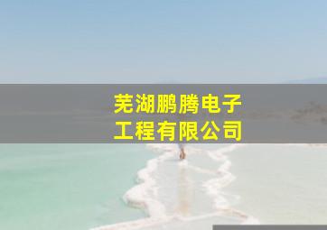 芜湖鹏腾电子工程有限公司