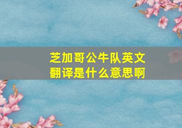 芝加哥公牛队英文翻译是什么意思啊