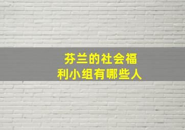 芬兰的社会福利小组有哪些人