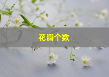 花瓣个数