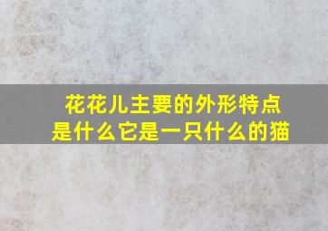 花花儿主要的外形特点是什么它是一只什么的猫