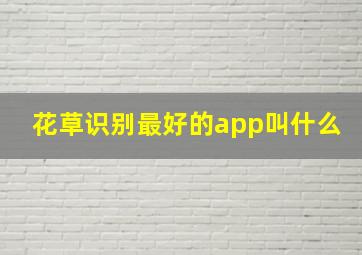 花草识别最好的app叫什么