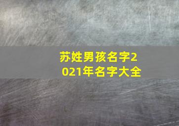 苏姓男孩名字2021年名字大全