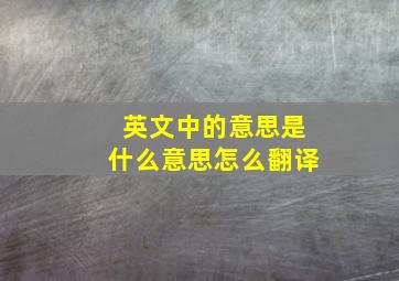 英文中的意思是什么意思怎么翻译