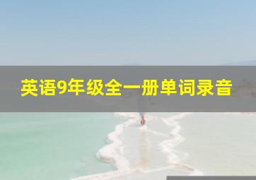 英语9年级全一册单词录音