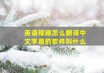 英语视频怎么翻译中文字幕的软件叫什么