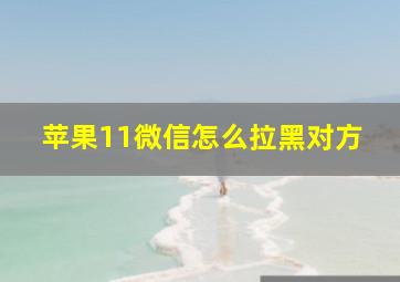 苹果11微信怎么拉黑对方