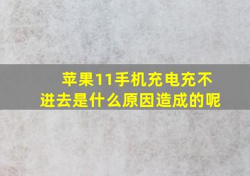 苹果11手机充电充不进去是什么原因造成的呢