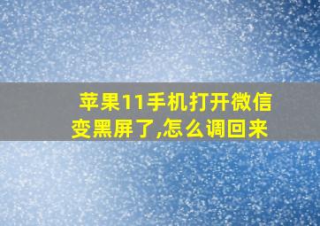 苹果11手机打开微信变黑屏了,怎么调回来