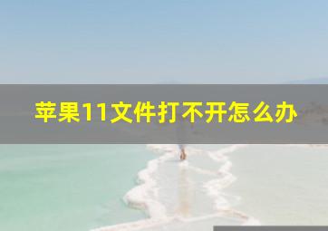 苹果11文件打不开怎么办