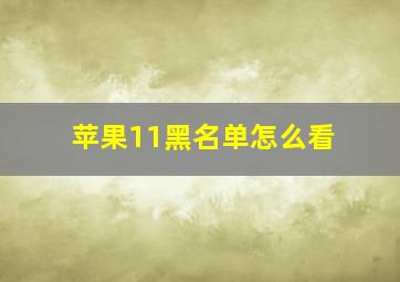 苹果11黑名单怎么看