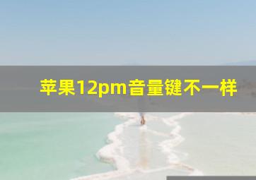 苹果12pm音量键不一样