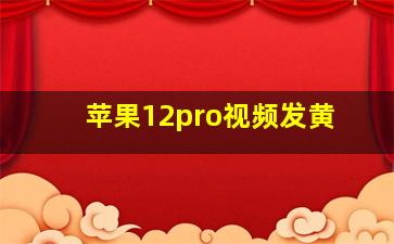 苹果12pro视频发黄