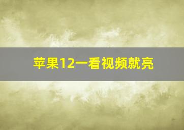 苹果12一看视频就亮