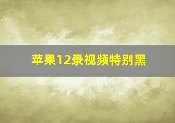 苹果12录视频特别黑