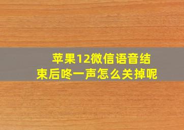 苹果12微信语音结束后咚一声怎么关掉呢