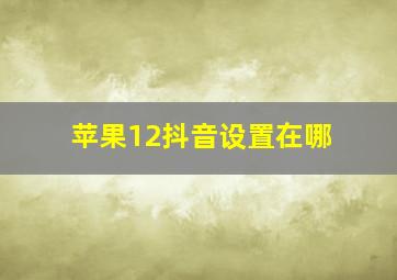 苹果12抖音设置在哪