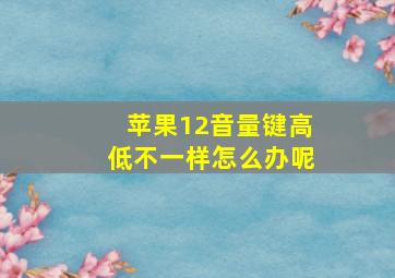 苹果12音量键高低不一样怎么办呢