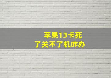 苹果13卡死了关不了机咋办