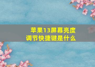 苹果13屏幕亮度调节快捷键是什么