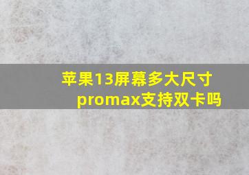 苹果13屏幕多大尺寸promax支持双卡吗