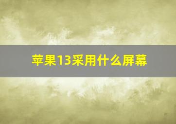 苹果13采用什么屏幕