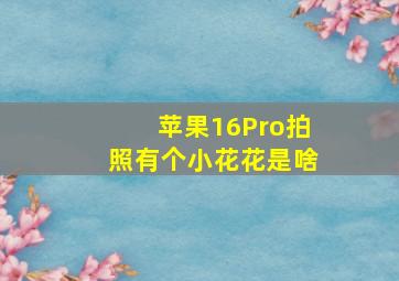 苹果16Pro拍照有个小花花是啥